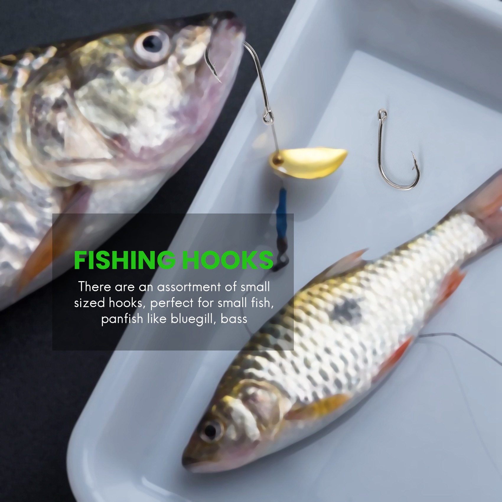 Barang baru 500Pcs/Set Ukuran  - Fishing Hook Box ulasan dan harga
